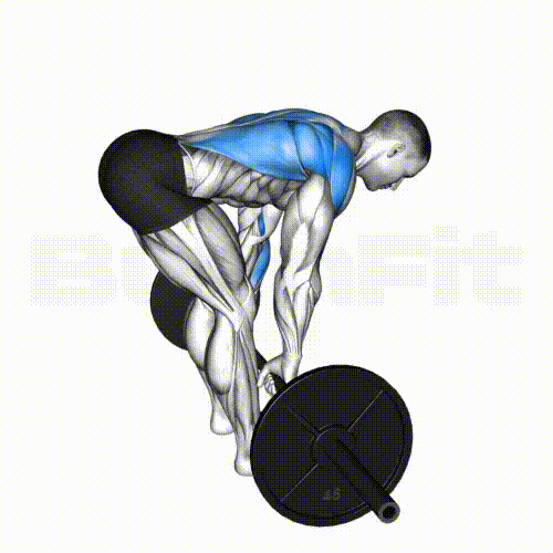 Barbell Row