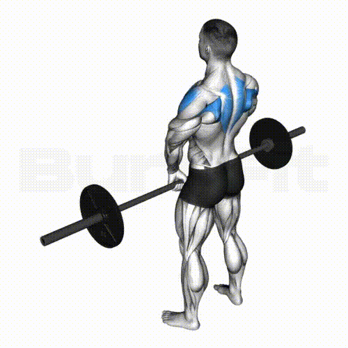Barbell Upright Row