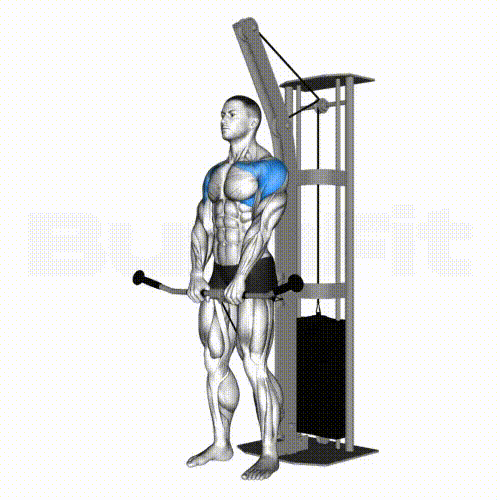Cable Front Raise