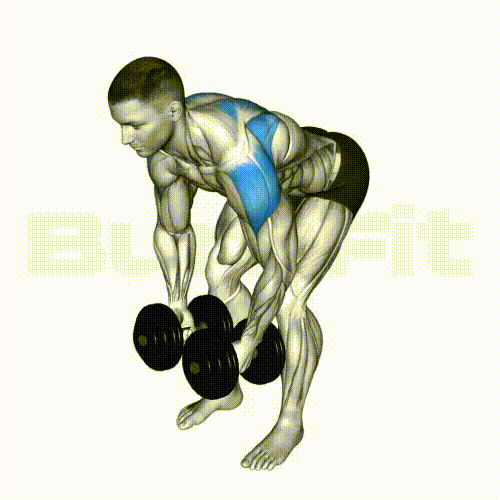 DB Bentover Lateral Raise