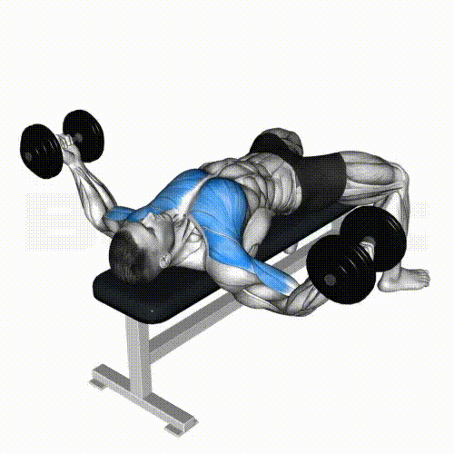 Dumbbell Fly