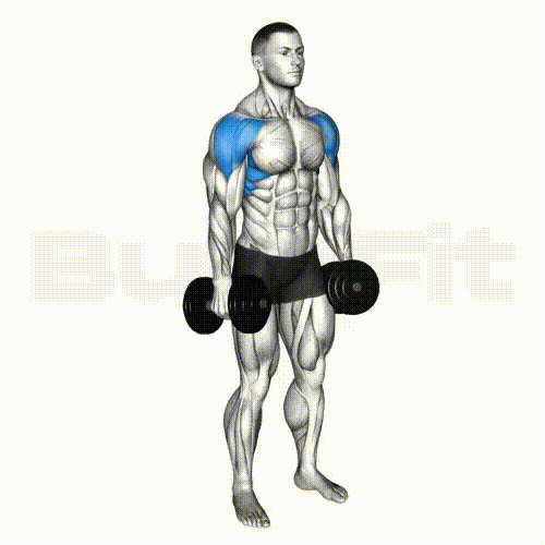 DB Lateral Raise