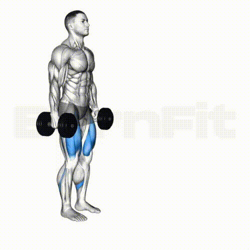 Dumbbell Lunge