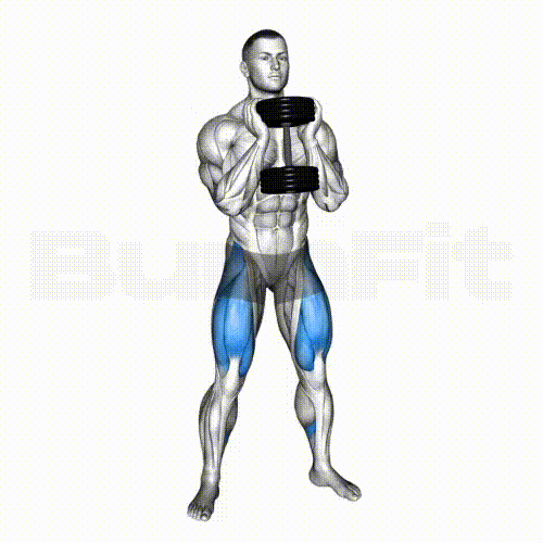 Goblet Squat