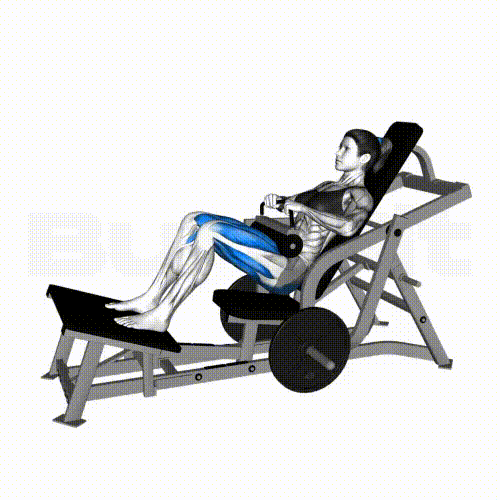 Hip Thrust Machine