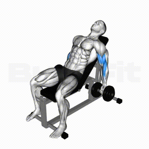 Incline Dumbbell Curl