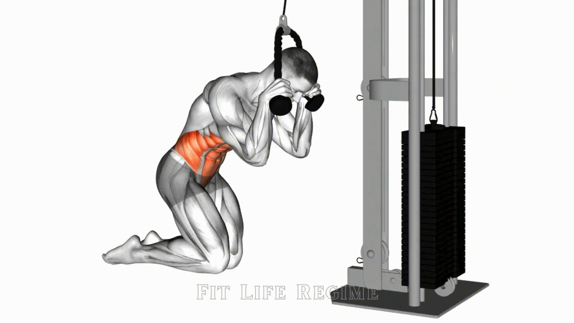 Kneeling Cable Crunch