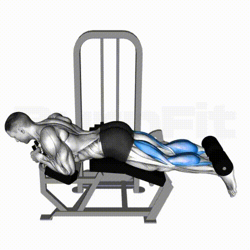 Leg Curl