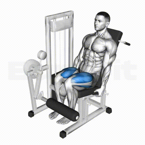 Leg Extension