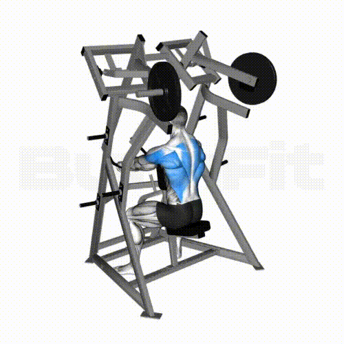 Low Row Machine