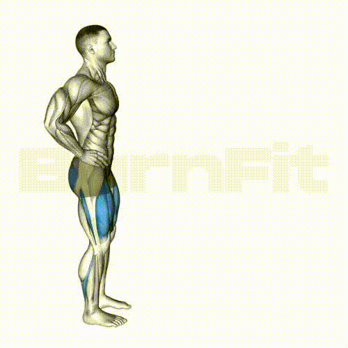 Lunge