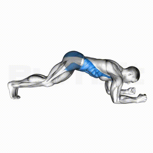 Plank