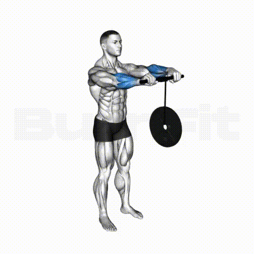 Wrist Roller