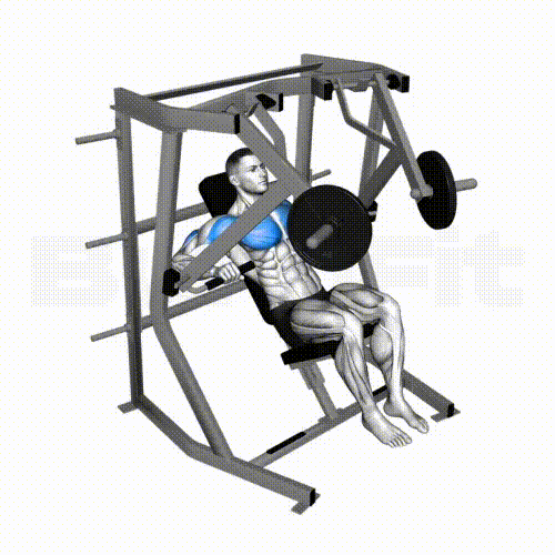 Chest Press Machine