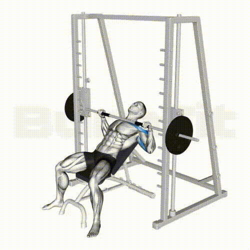 Smith Machine Incline Bench Press