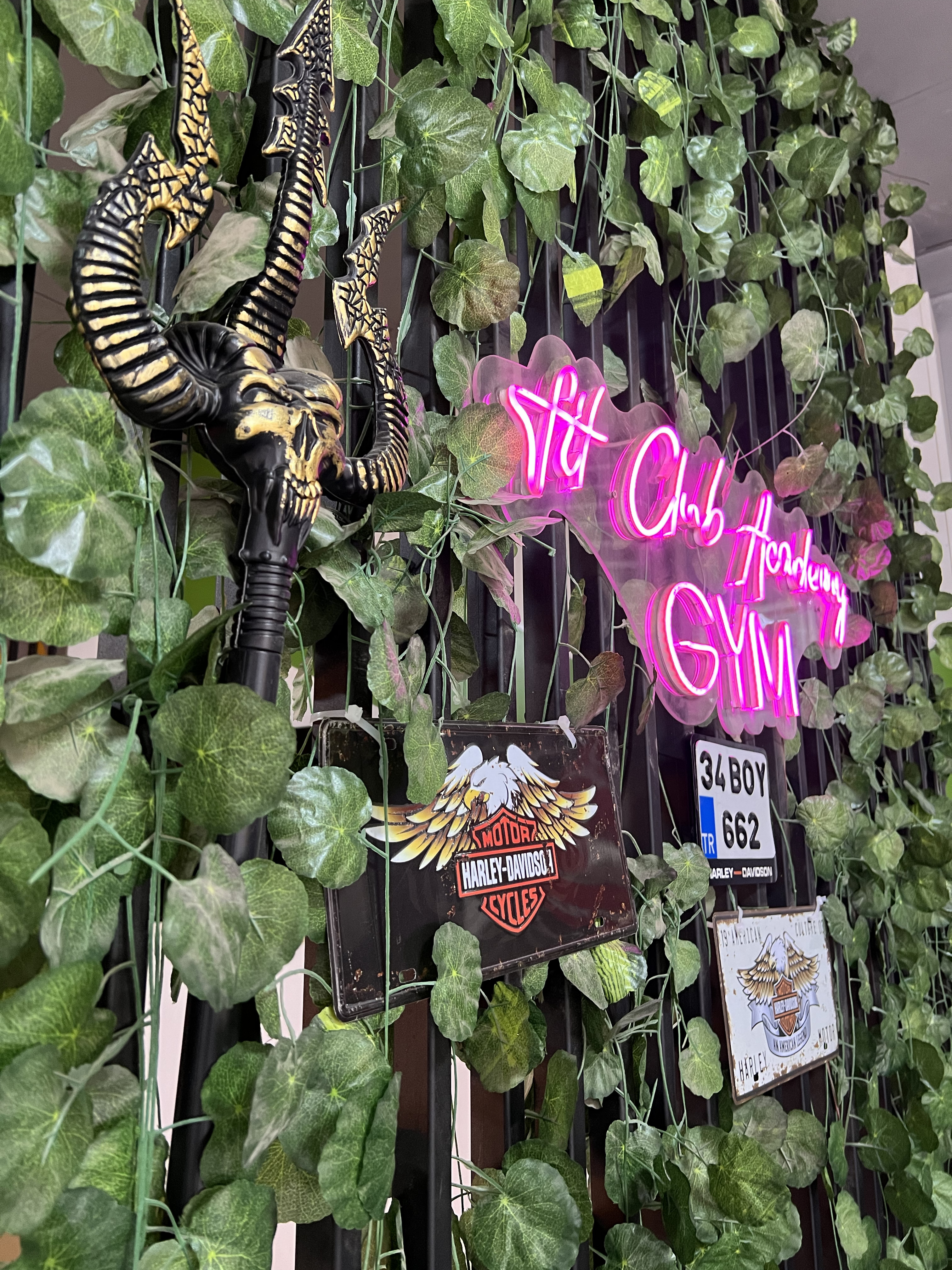FitClub Salon Atmosferi